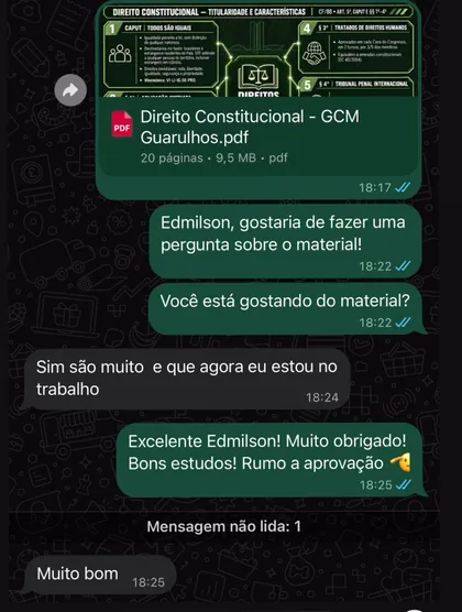 Conversa de WhatsApp: aluno de Guarulhos recebe o PDF de Direito Constitucional e diz que está gostando do material